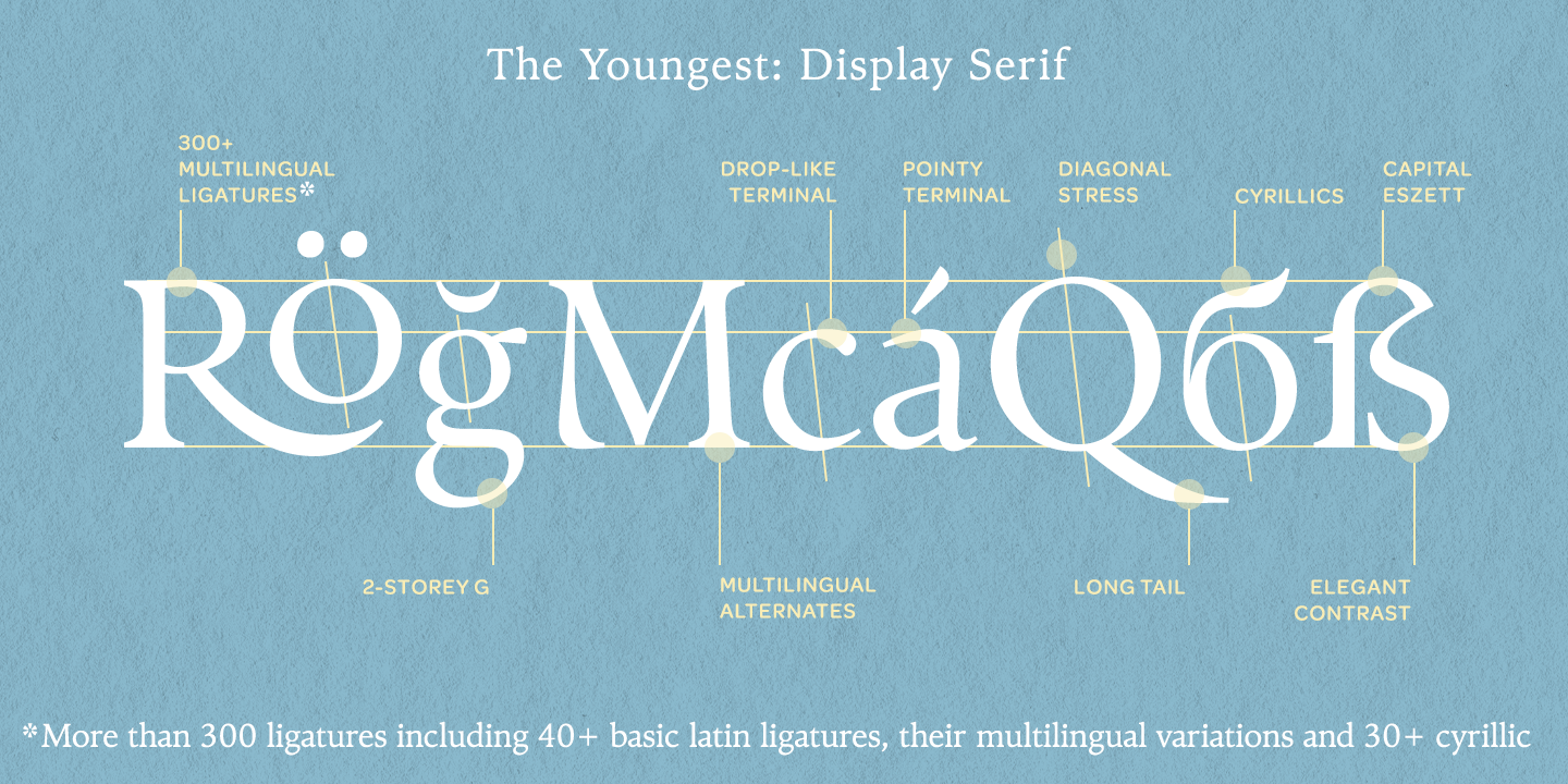 Ejemplo de fuente The Youngest Serif Book